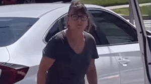 White Women, Come Getcha Girl: A Karen Goes Postal