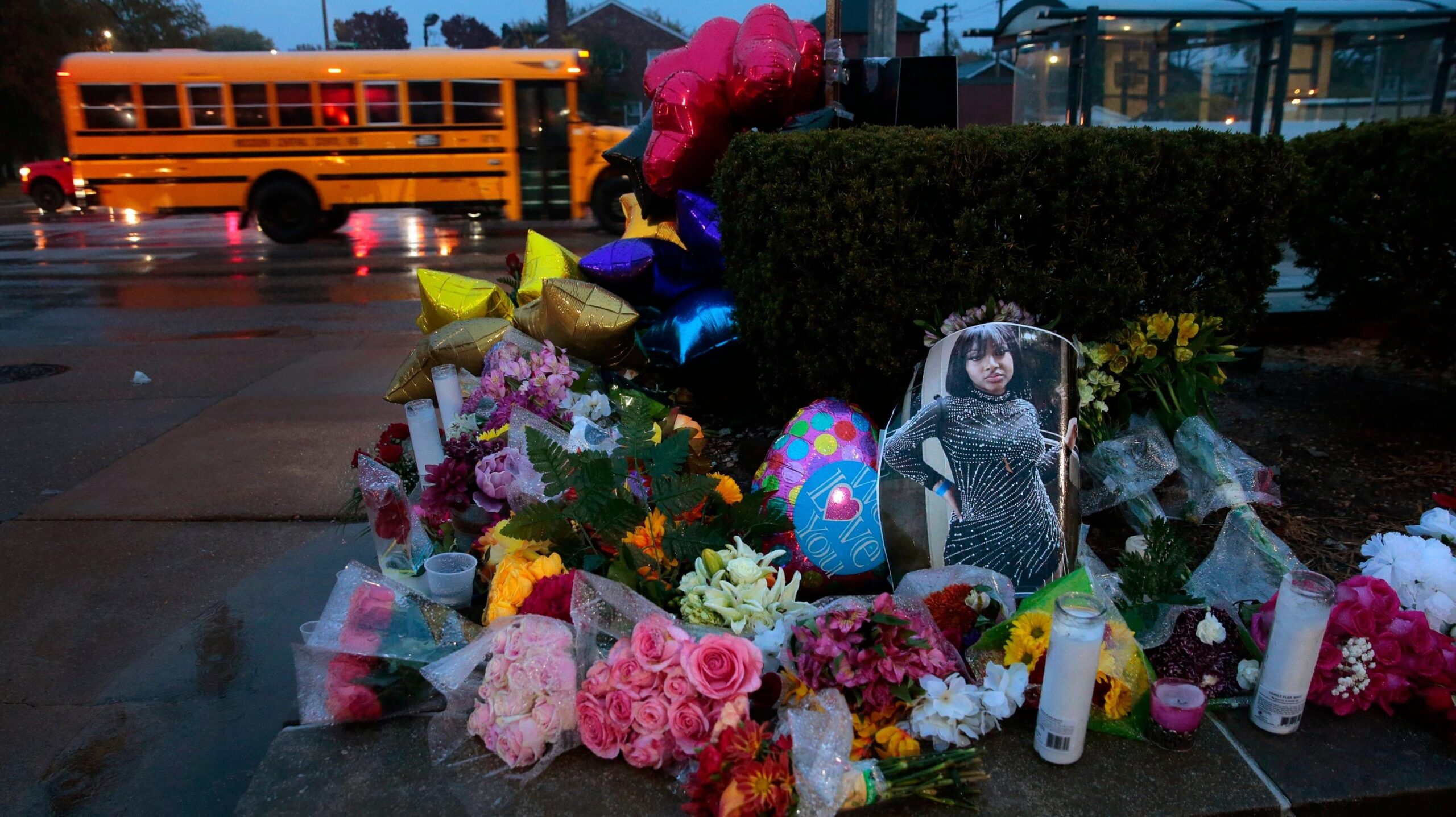 Photo: AP (Robert Cohen/St. Louis Post-Dispatch