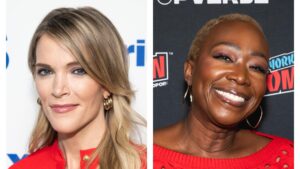 No She Didn’t! Eternal Karen Megyn Kelly Comes For Joy Reid’s Hair in New Rant