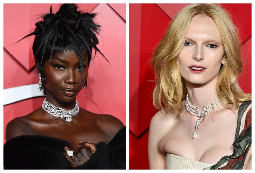 Black Twitter Reacts to Anok Yai Losing Model of The Year Award to White Transgender Model