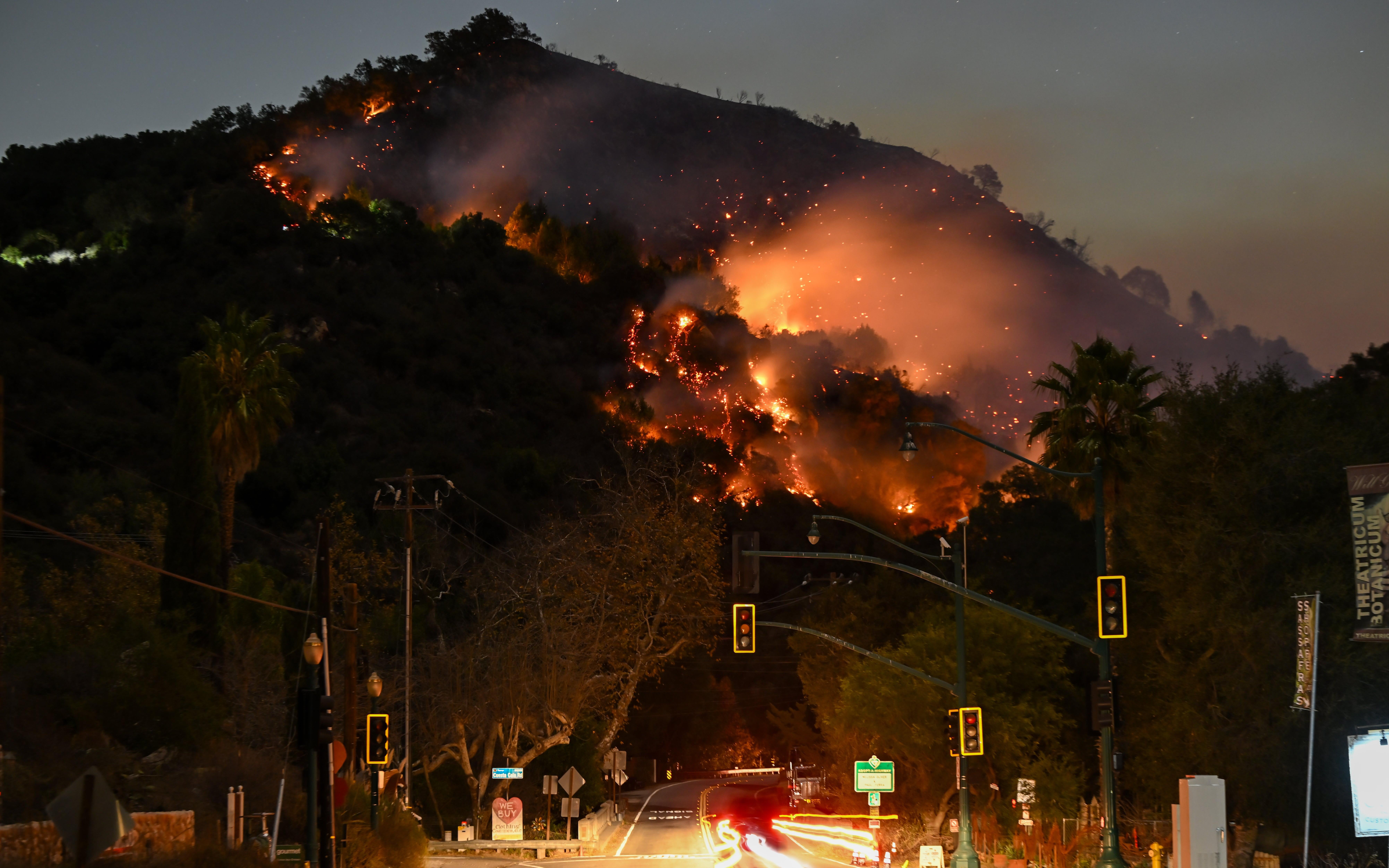 Photo: Getty Images Tayfun Coskun
