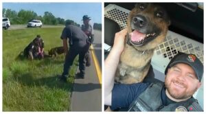 Turns Out That Ohio Cop Was Fired for Being Too Emotional