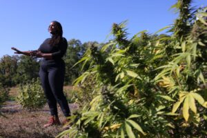 Will Biden’s Marijuana Executive Pardons Lesson the War on Drugs on Black Citizens?
