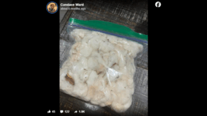 WTF: Illinois School District Sends Two Black Students Home With Cotton As Part of Slavery Lesson