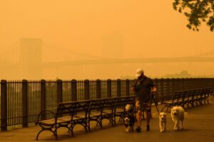 Here’s Why NYC Looks Post-Apocalyptic and Why Black Folks Should Stay Clear