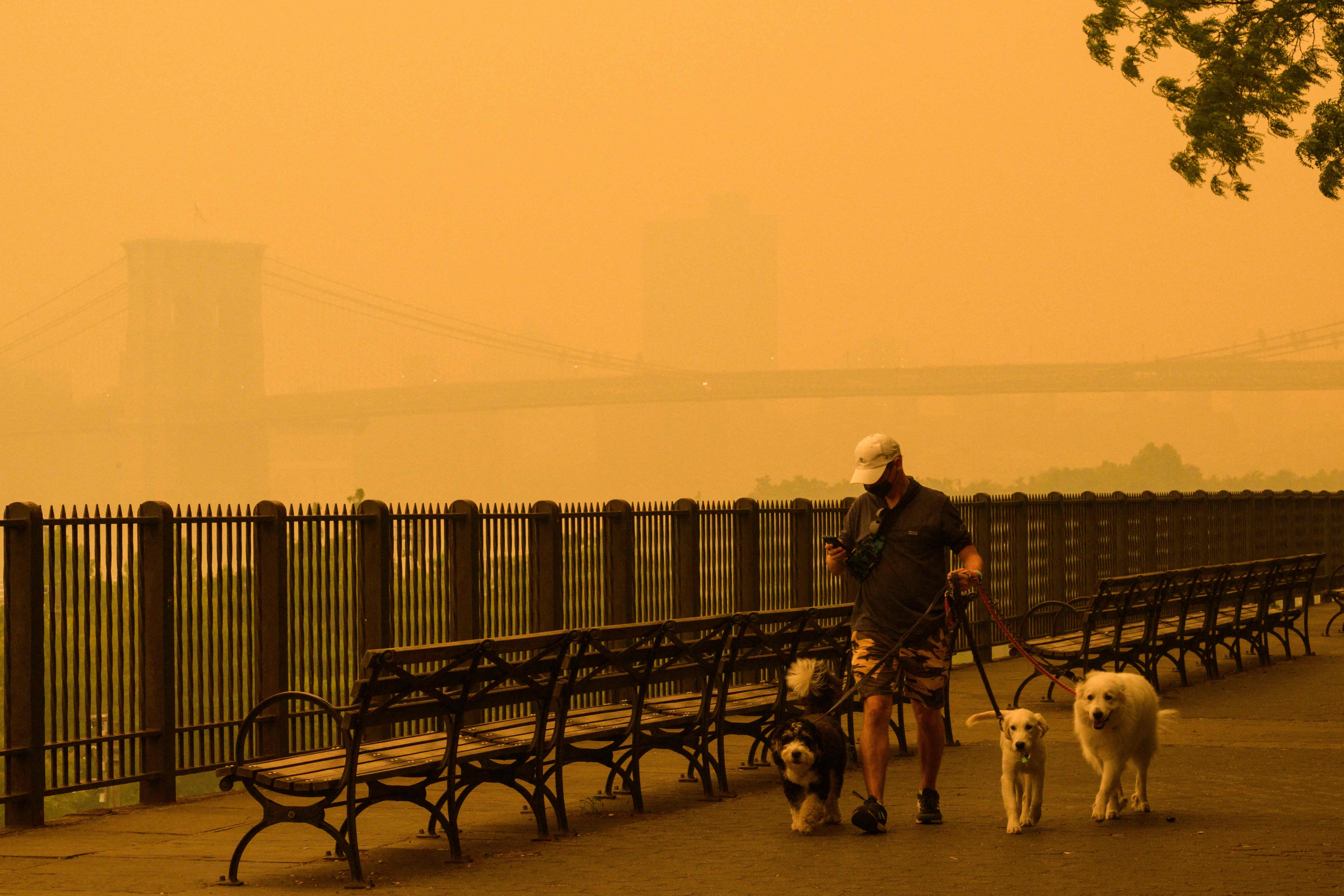 Photo: Getty Images ANGELA WEISS