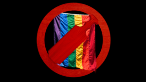 Black Sororities Are a Straight, Cisgender Women’s Club, and That Needs to Change