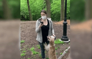 Central Park Karen Claimed She Was “In Fear of Her Life” When Approached by Birdwatcher