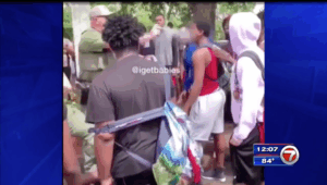 Watch: Grown Ass Cop Pepper Spray, Beat and Arrest Black Teen for Allegedly Taking a Defensive Stance