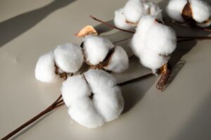 Spokane, Wash. Middle School Gives Class Cotton Picking Assignment. Black Kids in the Class Are Like, 'Uh…No.'