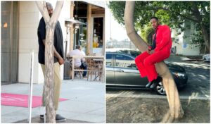 The W Stands for 'Why': What Is Going on With This Shoot for W Magazine—and What's With the Trees?
