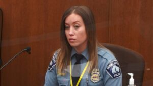 Use of Force Experts Made Up the Majority of Testimonies During Day 7 of the Chauvin Trial