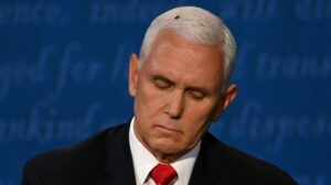 Wish You Could Snatch Mike Pence's Wig? Well, You Can!