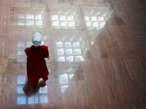 A Handmaid’s Tale About the Coronavirus: Why (Some) White People Want to Be Oppressed So Badly