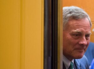 Which Members of Congress Used Coronavirus Intel to Martha Stewart Their Stocks? Here’s What We Know About #BURRisma