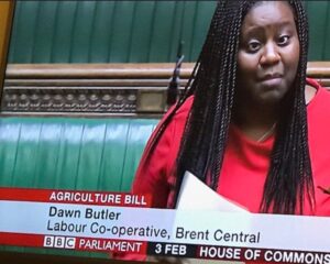 Media Outlets, Politicians Get Roasted by Twitter for Treatment of Black Women in Parliament: ‘This Is Due to Institutional Racism’