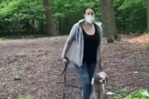 New York Lawmakers Propose Hate Crime Legislation in Response to Viral ‘Central Park Karen’ Video